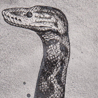 Snake